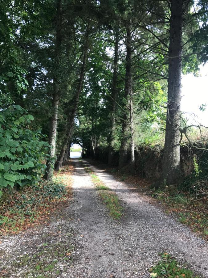 Manoir De Parc Ar Brun Villa Treguier Luaran gambar